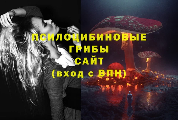 СК Лиски