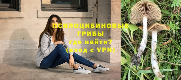СК Лиски