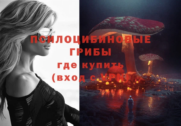 СК Лиски