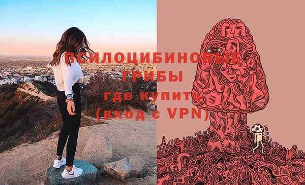 СК Лиски
