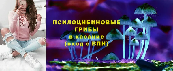 индика Липки